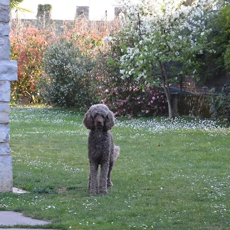 アパート Monika ウーディネ